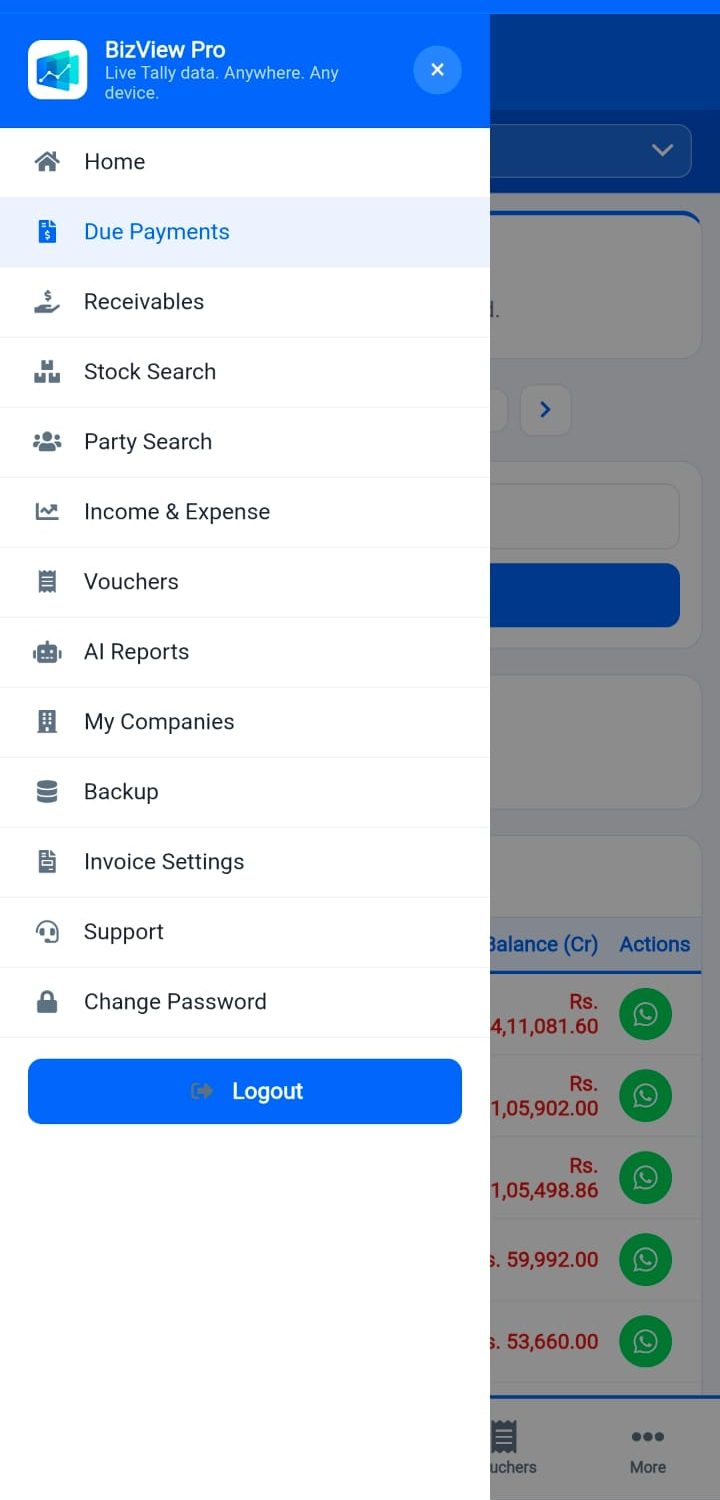 BizView Pro main menu on mobile